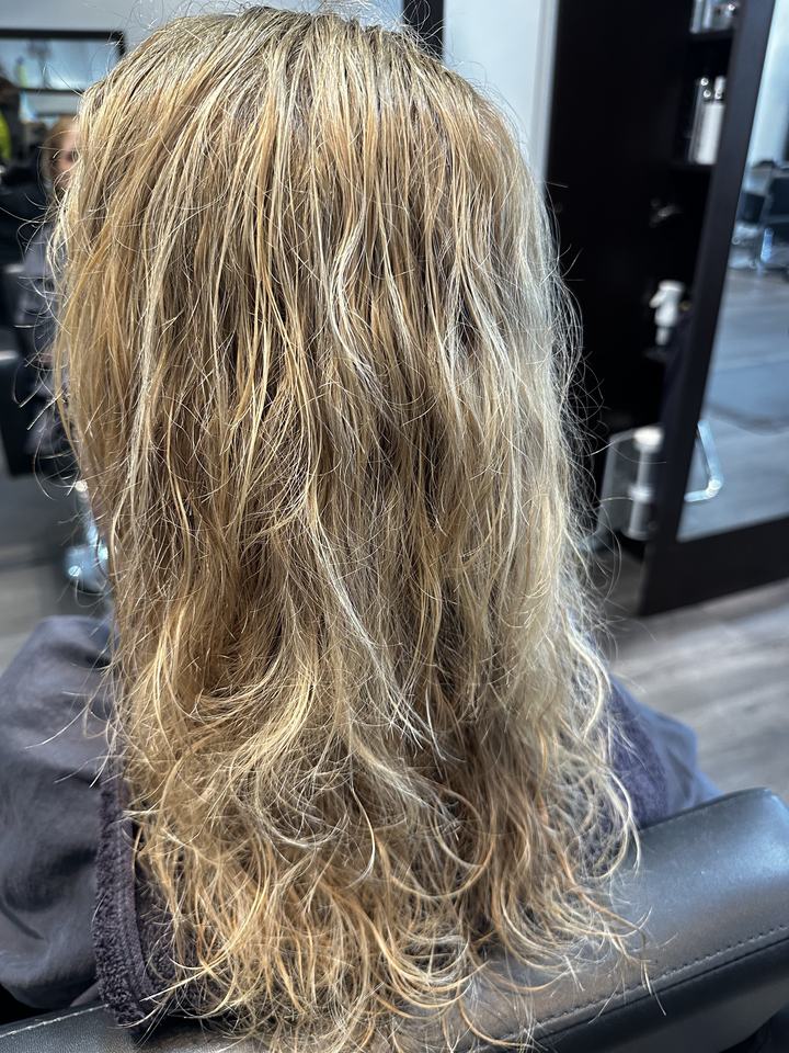 Hair before hair botox, seen from behind