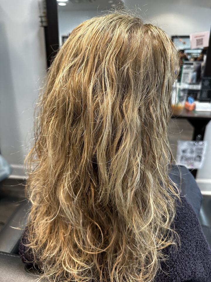 Hair before hair botox, seen from behind