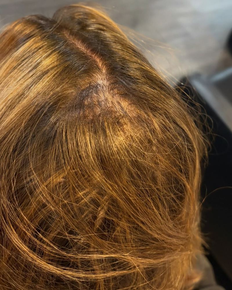 Hair before color correction, seen from behind