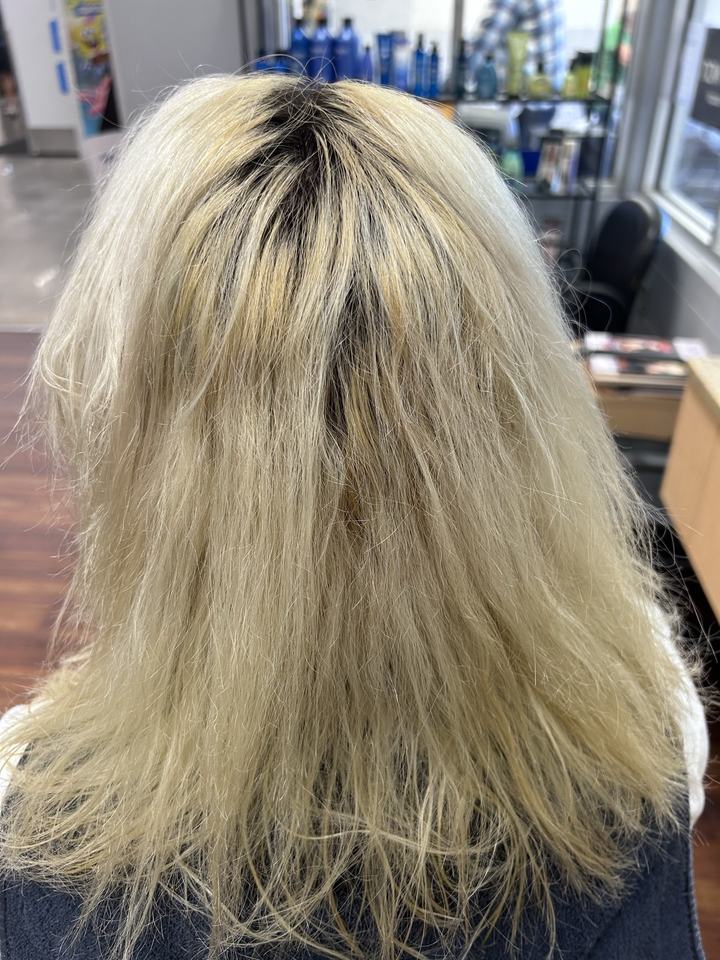 Hair before a color change, seen from behind