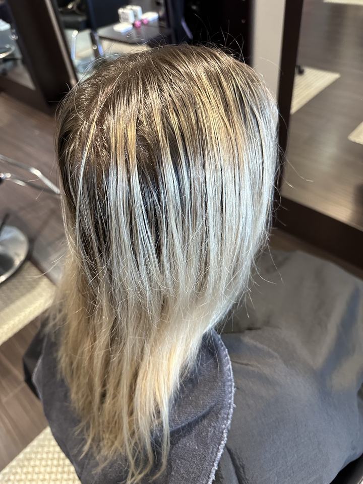 Hair before a color service, seen from behind