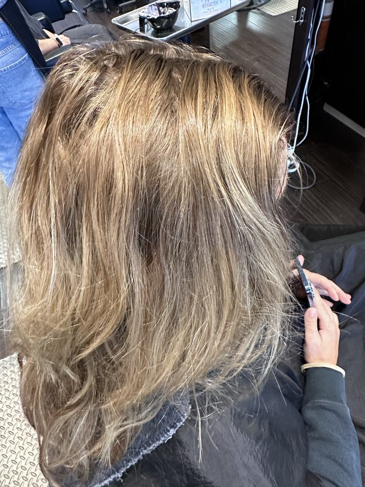 Hair before a color service, seen from behind