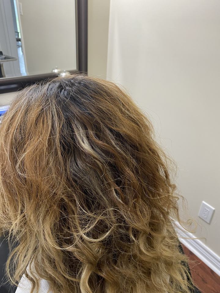 Hair before highlights, seen from behind