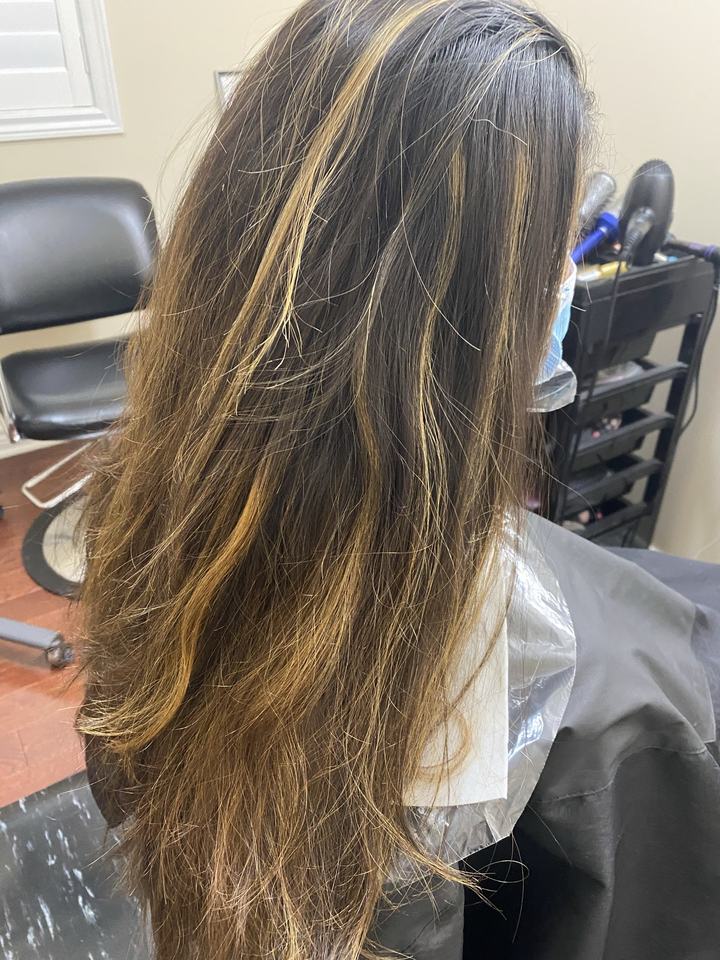 Hair before a color change, seen from behind